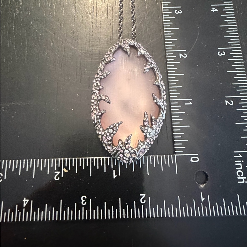 Alexis Bittar lucite and gunmetal long  Necklace